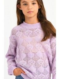 Openwork sweater with sleeves