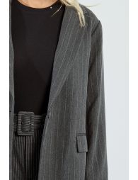 Stripe blazer jacket, iridescent