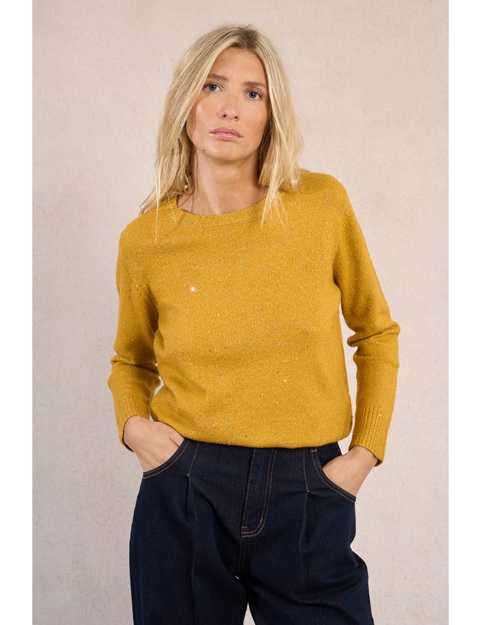 Sweater sprinkled with sequins