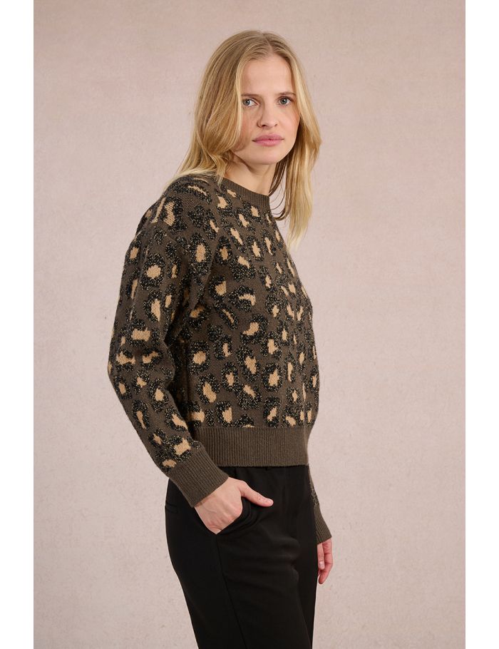Pull en maille, imprimé léopard