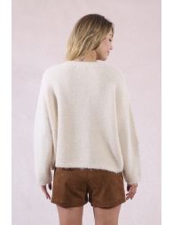 Pull en maille et fleurs sequins