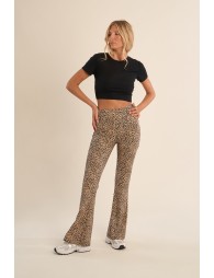 LEGGINGS ACAMPANADOS