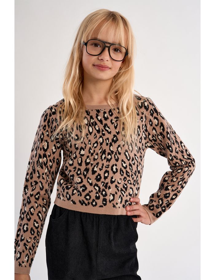 Pull en maille, imprimé léopard