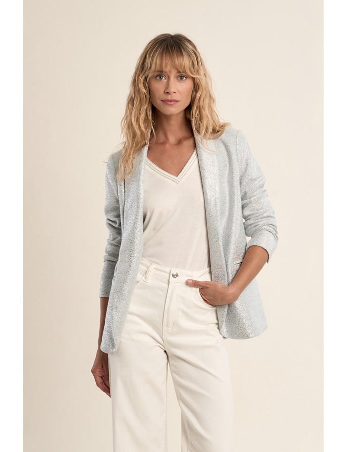 Blazer droit, irisé